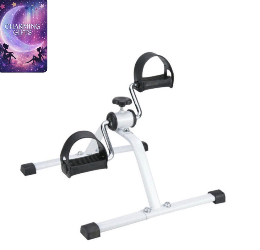 Mini exercise bike adjustable resistance armchair pedal leg workout