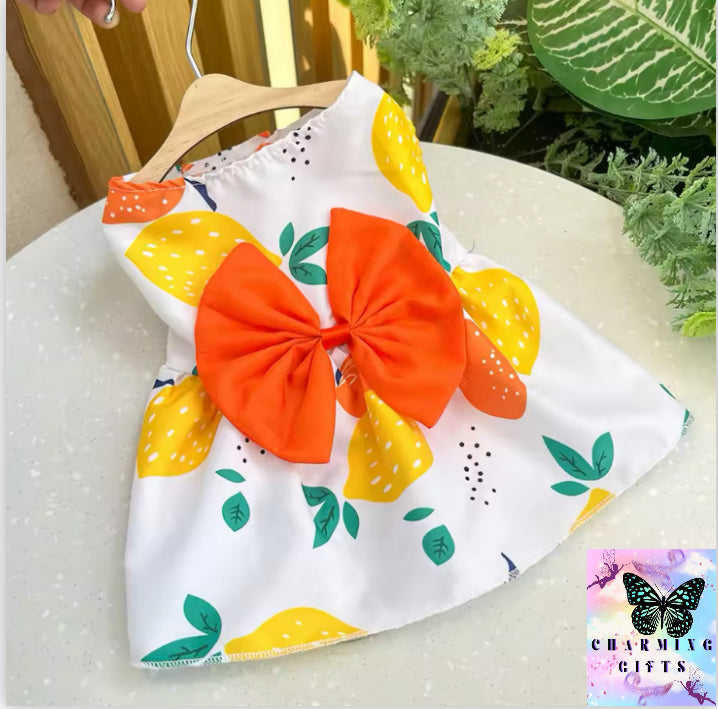 Summer Dog Princess Dress Kitten Pet Skirt Cute Dog Dress Bow Lace for Small Medium Puppy Poodle Chihuahua