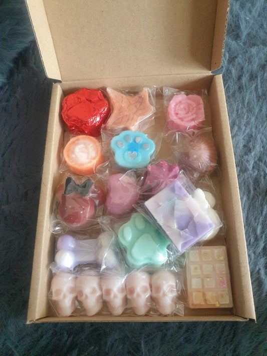 Wax Melt Bundle 120g Sample Box
